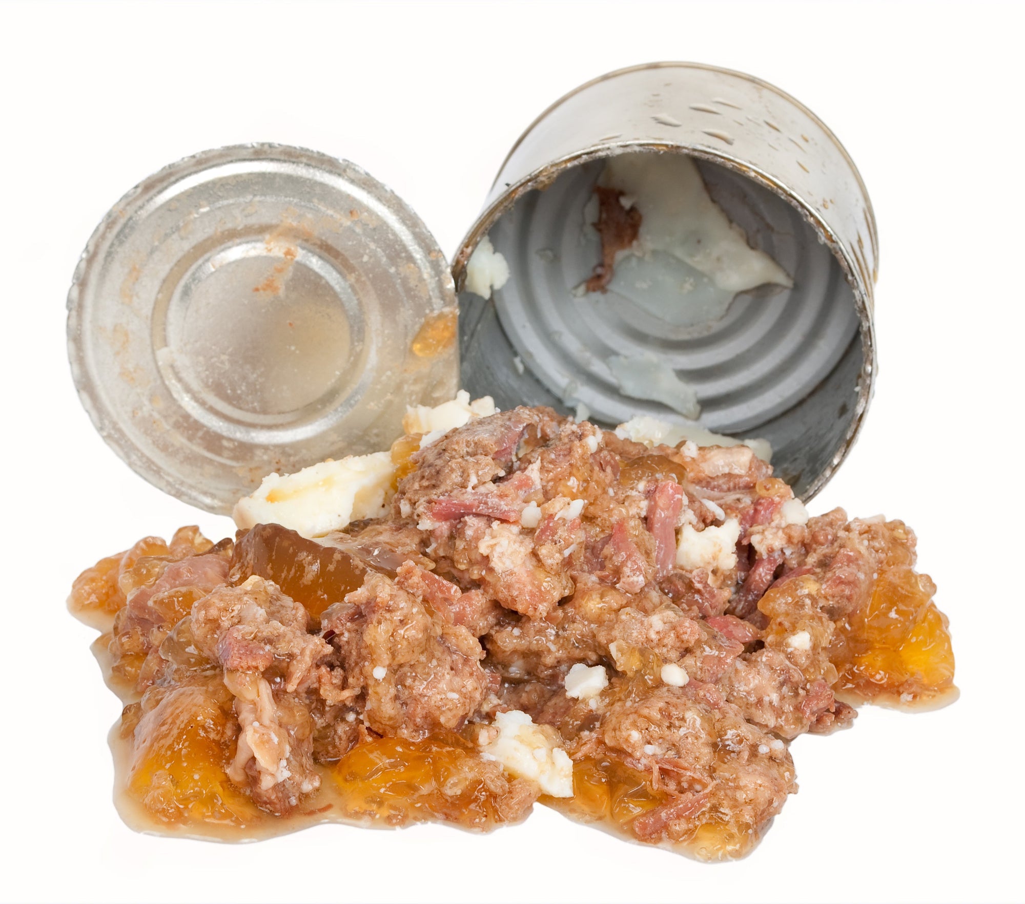 Fresh dog food Vs Tinned